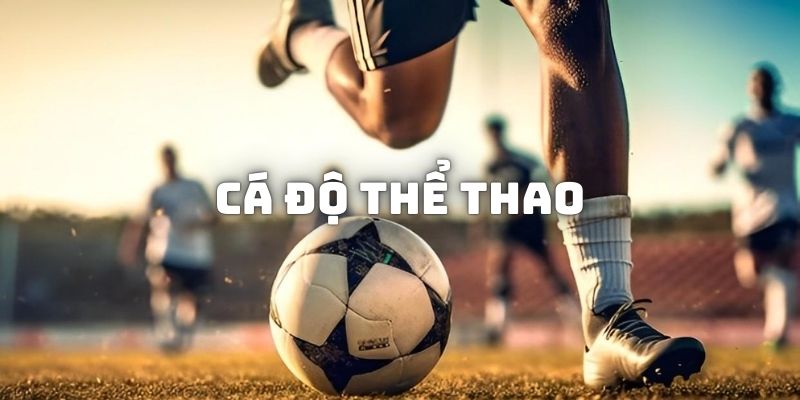 Các kèo cá độ thể thao đem lại mức thưởng cao cho hội viên