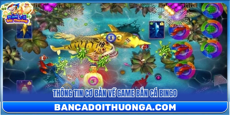 Những thông tin chính về trò chơi bắn cá Bingo