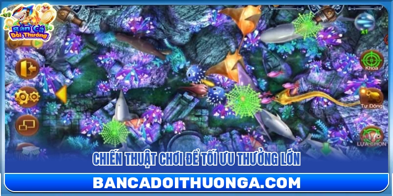 Chiến lược chơi nhằm tối ưu phần thưởng lớn