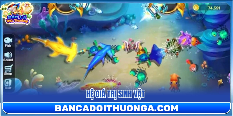 Danh mục các loài cá và sinh vật biển đặc sắc