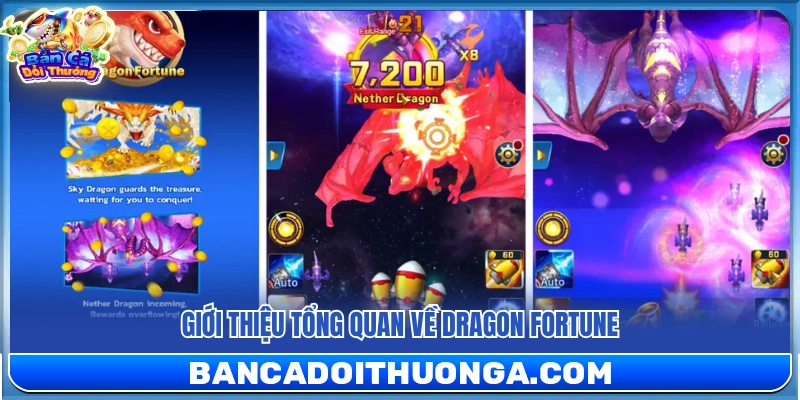 Tìm hiểu tổng quan về trò chơi Dragon Fortune