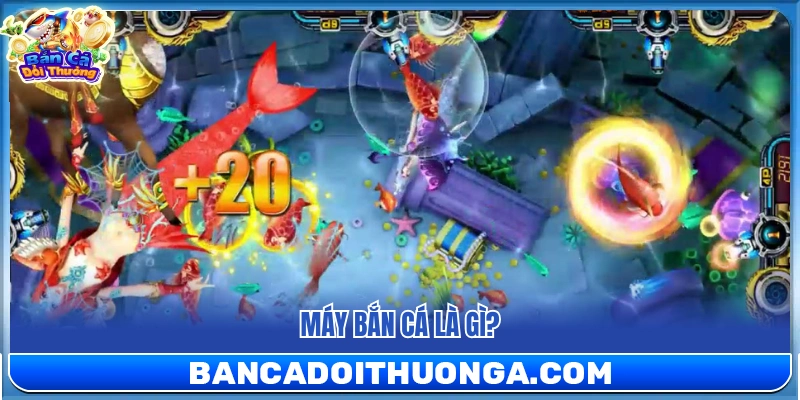 Máy bắn cá là gì?