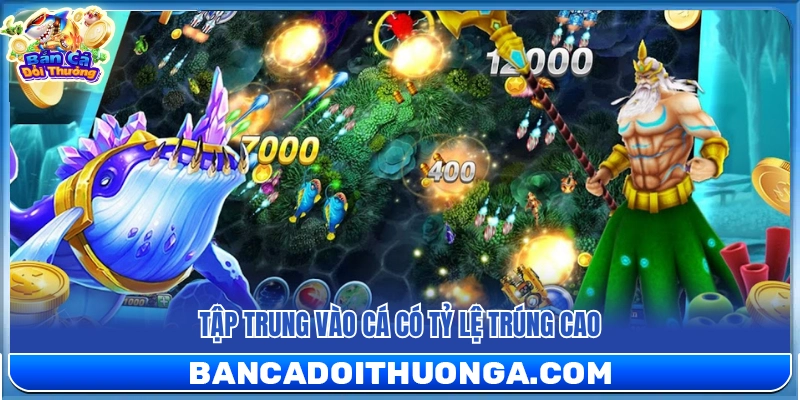 Dồn mục tiêu vào cá có tỷ lệ trúng cao